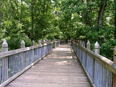 [A wooden plank bridge with wooden fencing on both sides. There are a series of tall pointy posts which probably go down into the water to support the bridge. On all sides are lots of tally leafy trees.]